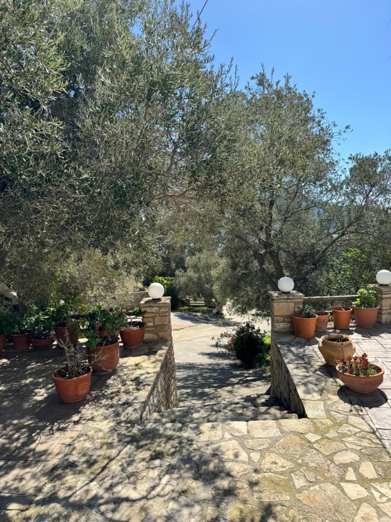 Апартаменты Olive Grove Плакиас Экстерьер фото